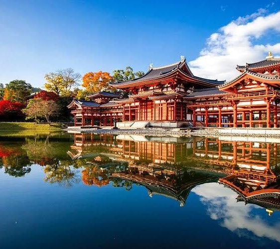 WhatsApp Image 2024-11-01 at 2.19.06 PM